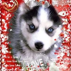 Meet your Posher, Mckaylah